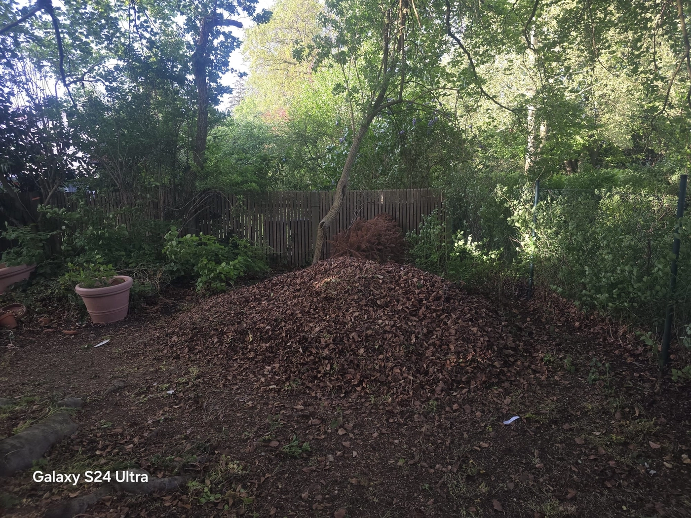 Mobelmotage und Transport - Garten arbeiten