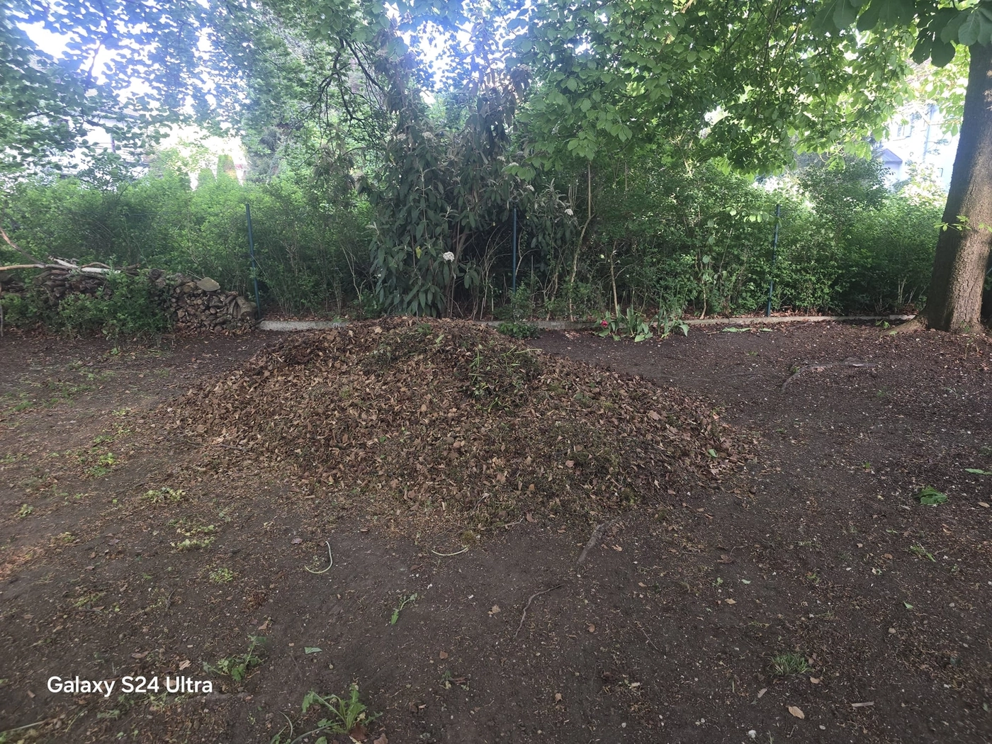 Mobelmotage und Transport - Garten arbeiten